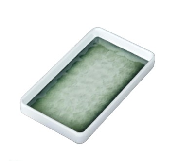 Plato de melamina rectangular verde 20 x 11 cm