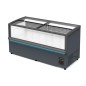 Congelador horizontal profesional 911L- 2,08 × 0,88 × m -18 °C/-22 °C Congelador horizontal profesional 911L- 2,08 × 0,88 × m -18 °C/-22 °C