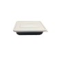 Caja para sushi con tapa 600 unidades Modelo GP-F500 Caja para sushi con tapa 600 unidades Modelo GP-F500