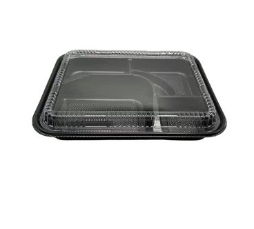 Envase de plástico con 5 compartimentos