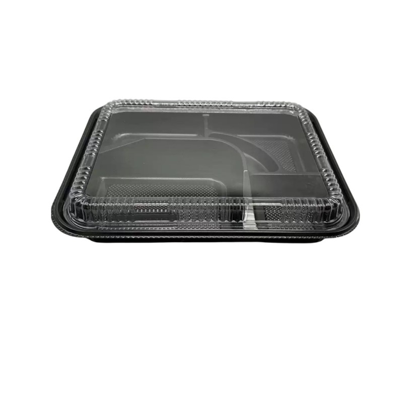 Envase de plástico con 5 compartimentos Envase de plástico con 5 compartimentos