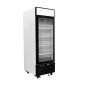 Congelador Mural 610L 1 Puerta Cristal Congelador Mural 610L 1 Puerta Cristal