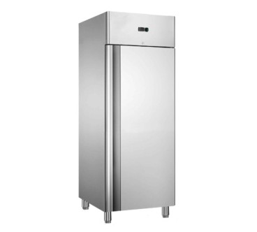 Frigogrífico Congelador Vertical 1P 670L 600W 730×805×2065MM