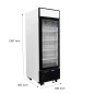 Congelador Mural 610L 1 Puerta Cristal Congelador Mural 610L 1 Puerta Cristal